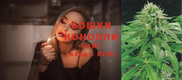 трава Абаза