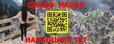 СК Кунгур