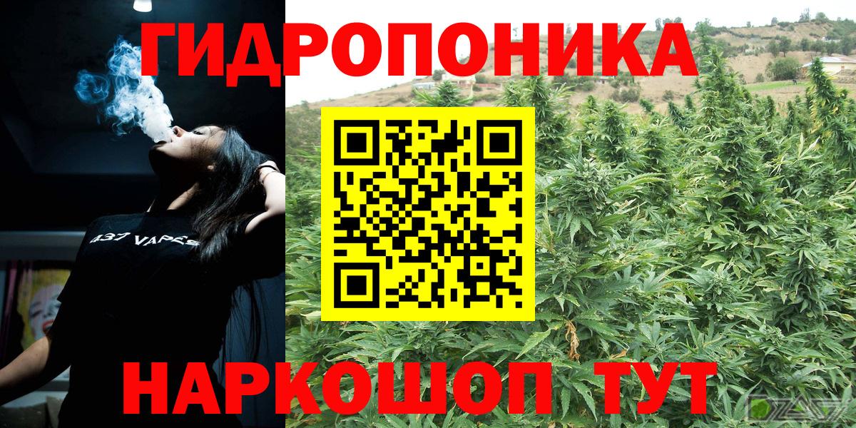Каннабис план  Бошки Шишки White Widow  Бошки Шишки тримм  Вход с VPN  Кохма 